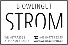 Logo-Strom_m_Adresse2.png